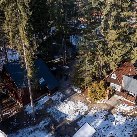 Cabana Adrienne Izvoru Mureşului エクステリア 写真
