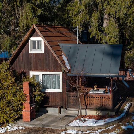 Cabana Adrienne Izvoru Mureşului エクステリア 写真