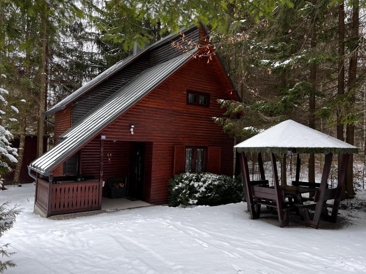 Cabana Adrienne Izvoru Mureşului エクステリア 写真