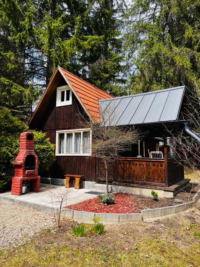 Cabana Adrienne Izvoru Mureşului エクステリア 写真