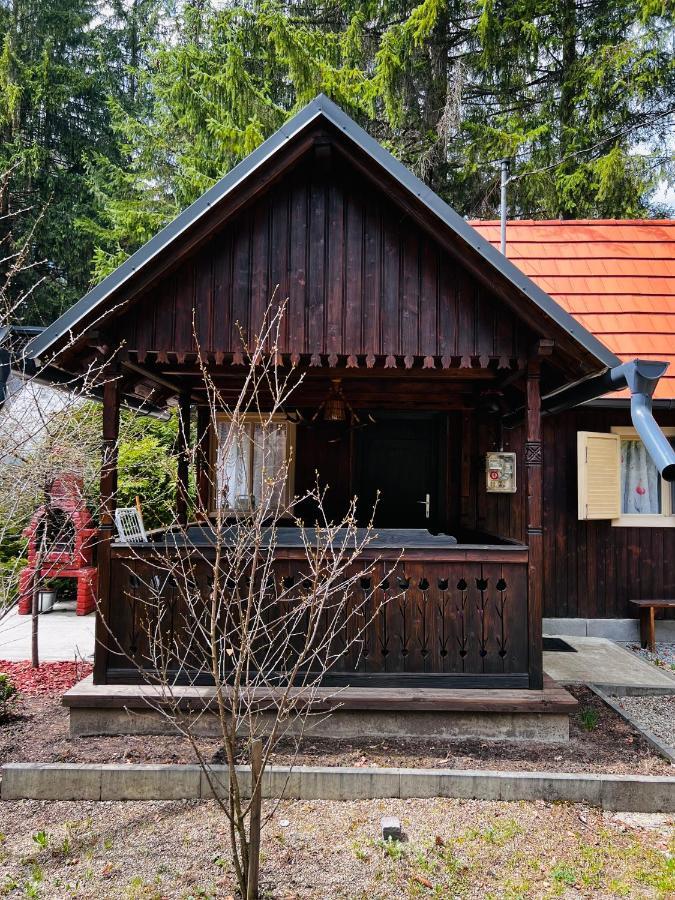 Cabana Adrienne Izvoru Mureşului エクステリア 写真