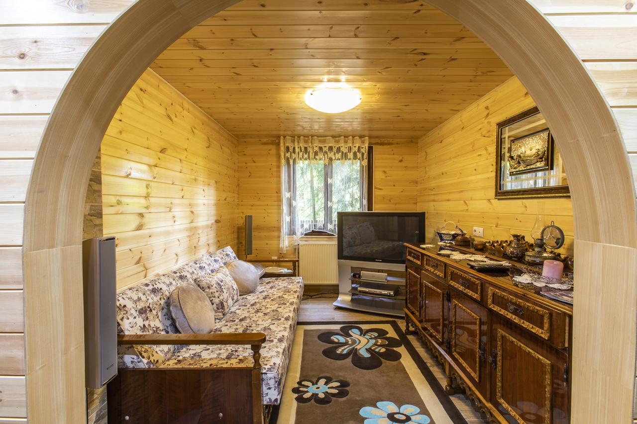 Cabana Adrienne Izvoru Mureşului エクステリア 写真
