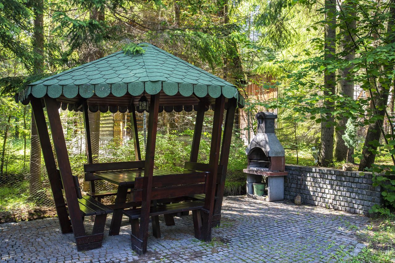 Cabana Adrienne Izvoru Mureşului エクステリア 写真